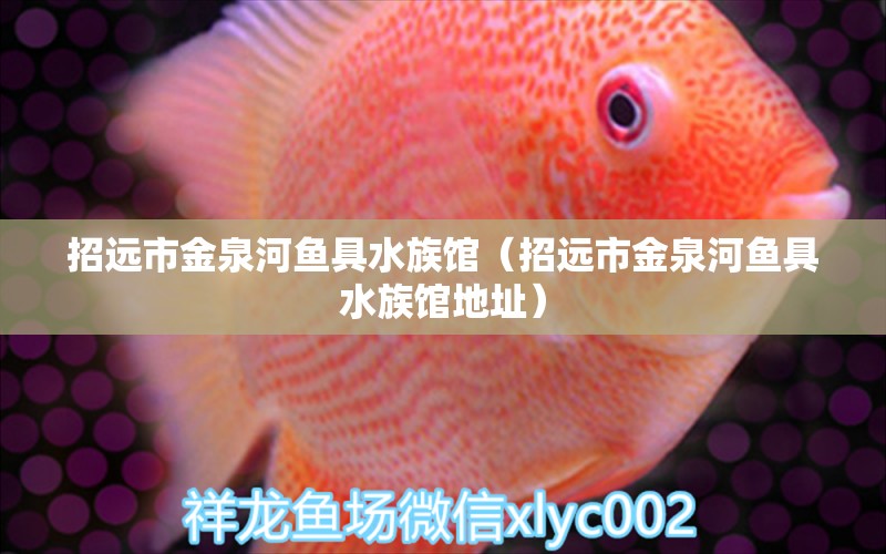 招遠(yuǎn)市金泉河魚具水族館（招遠(yuǎn)市金泉河魚具水族館地址） 全國(guó)水族館企業(yè)名錄