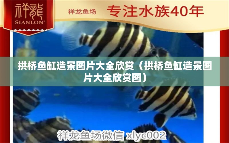 拱橋魚缸造景圖片大全欣賞（拱橋魚缸造景圖片大全欣賞圖）