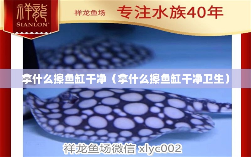 拿什么擦魚缸干凈（拿什么擦魚缸干凈衛(wèi)生） 祥龍水族醫(yī)院