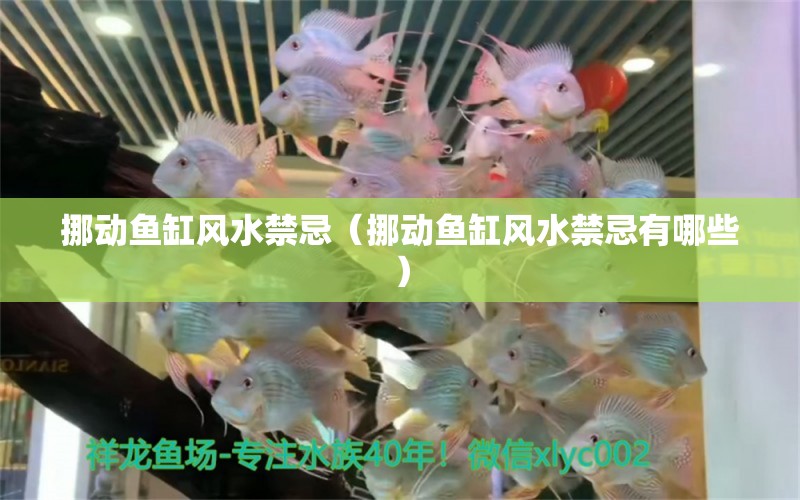 挪動(dòng)魚缸風(fēng)水禁忌（挪動(dòng)魚缸風(fēng)水禁忌有哪些）