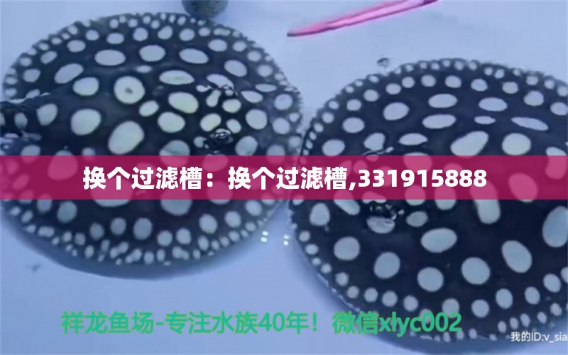 換個過濾槽：換個過濾槽,331915888 觀賞魚論壇 第2張