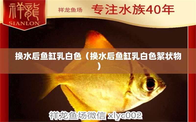 換水后魚缸乳白色（換水后魚缸乳白色絮狀物）