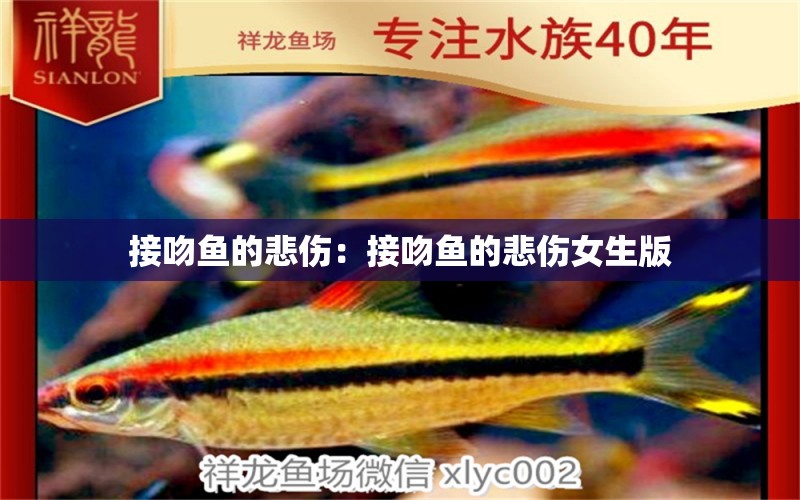 接吻魚的悲傷：接吻魚的悲傷女生版 白子關(guān)刀魚