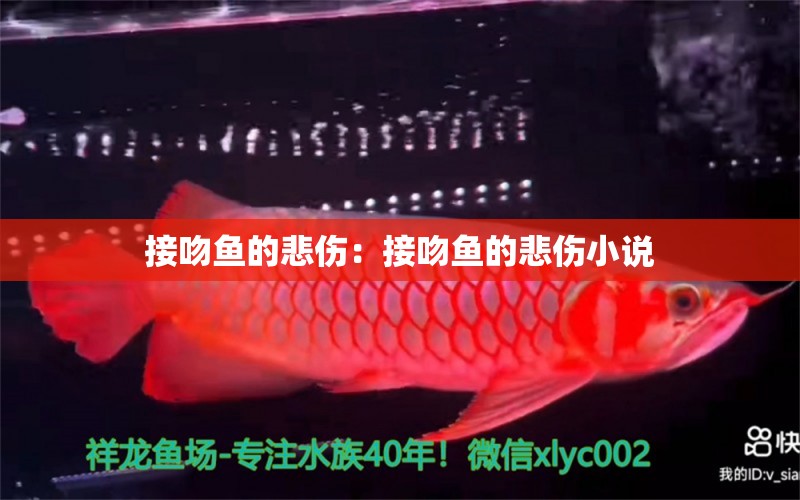 接吻魚的悲傷：接吻魚的悲傷小說