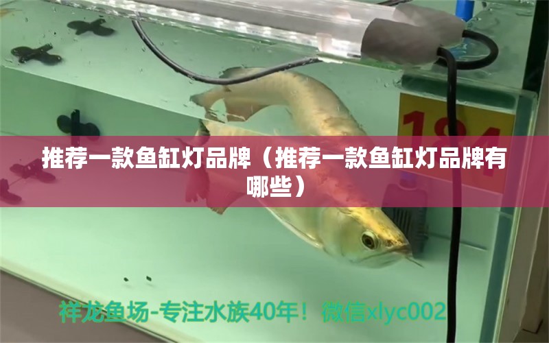 推薦一款魚缸燈品牌（推薦一款魚缸燈品牌有哪些）