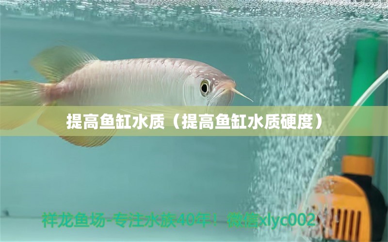 提高魚缸水質(zhì)（提高魚缸水質(zhì)硬度）