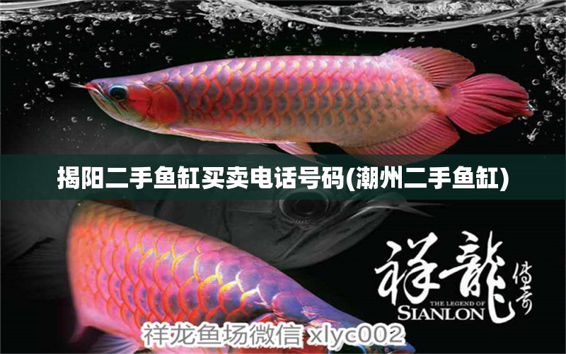 揭陽二手魚缸買賣電話號碼(潮州二手魚缸) 黑桃A魚