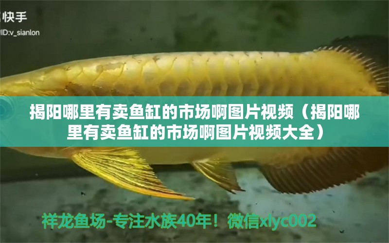 揭陽(yáng)哪里有賣魚缸的市場(chǎng)啊圖片視頻（揭陽(yáng)哪里有賣魚缸的市場(chǎng)啊圖片視頻大全） 魚缸定做