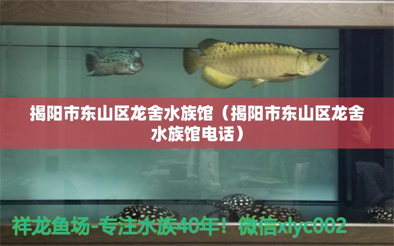 揭陽市東山區(qū)龍舍水族館（揭陽市東山區(qū)龍舍水族館電話） 全國水族館企業(yè)名錄