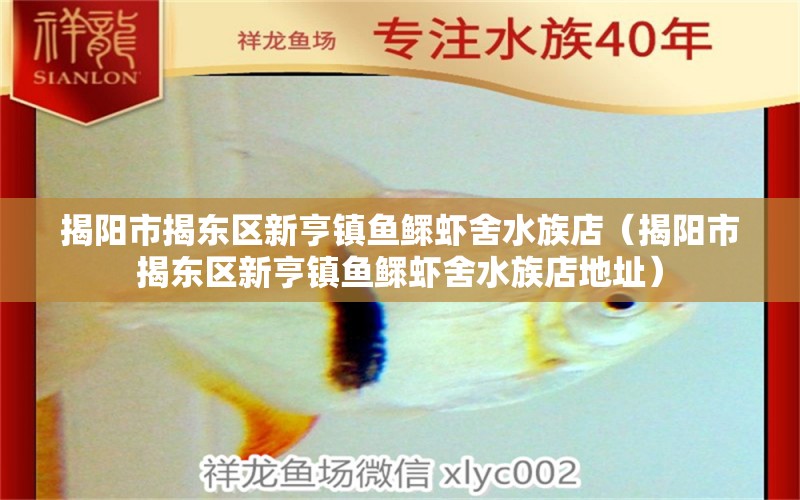 揭陽市揭東區(qū)新亨鎮(zhèn)魚鰥蝦舍水族店（揭陽市揭東區(qū)新亨鎮(zhèn)魚鰥蝦舍水族店地址）