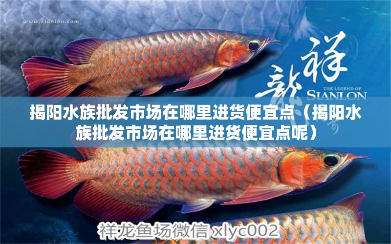 揭陽水族批發(fā)市場在哪里進(jìn)貨便宜點(diǎn)（揭陽水族批發(fā)市場在哪里進(jìn)貨便宜點(diǎn)呢）