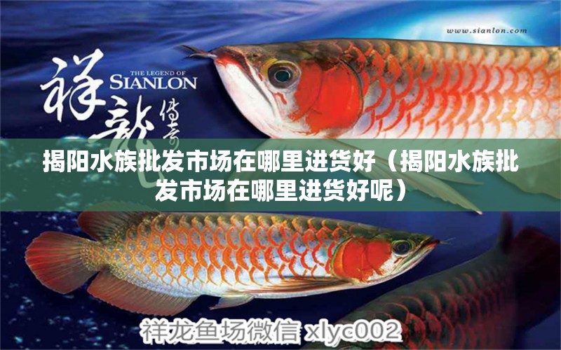 揭陽(yáng)水族批發(fā)市場(chǎng)在哪里進(jìn)貨好（揭陽(yáng)水族批發(fā)市場(chǎng)在哪里進(jìn)貨好呢） 觀賞魚水族批發(fā)市場(chǎng)