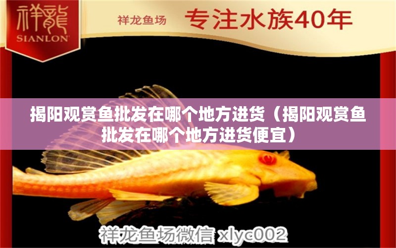 揭陽觀賞魚批發(fā)在哪個地方進(jìn)貨（揭陽觀賞魚批發(fā)在哪個地方進(jìn)貨便宜）