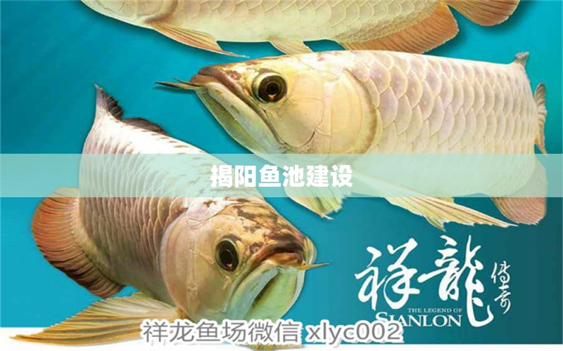 揭陽(yáng)魚池建設(shè) 錦鯉池魚池建設(shè)