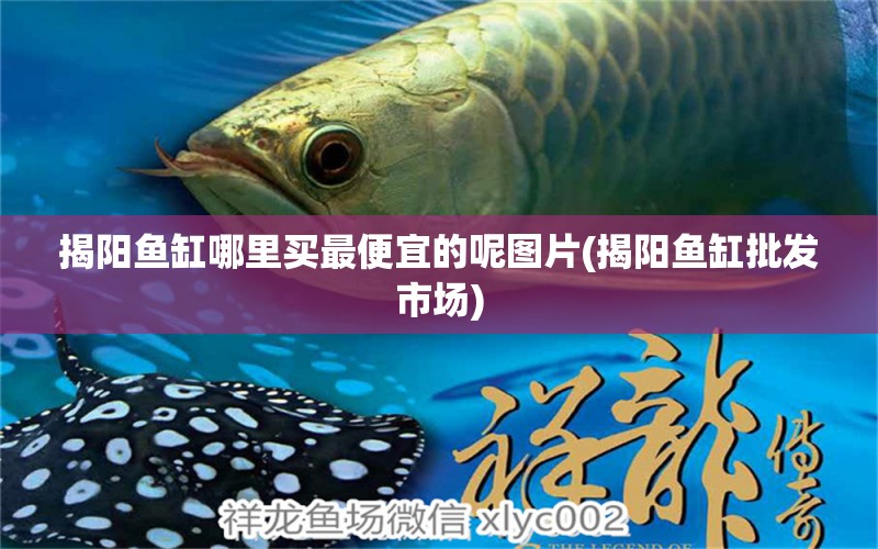 揭陽魚缸哪里買最便宜的呢圖片(揭陽魚缸批發(fā)市場) 其他品牌魚缸