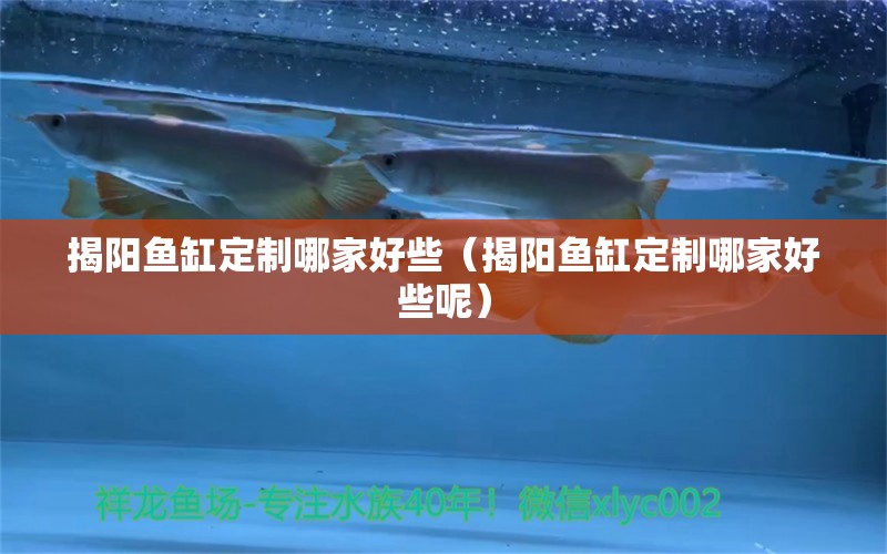 揭陽魚缸定制哪家好些（揭陽魚缸定制哪家好些呢）