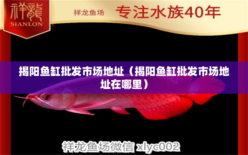 揭陽(yáng)魚(yú)缸批發(fā)市場(chǎng)地址（揭陽(yáng)魚(yú)缸批發(fā)市場(chǎng)地址在哪里）