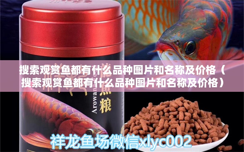 搜索觀賞魚都有什么品種圖片和名稱及價(jià)格（搜索觀賞魚都有什么品種圖片和名稱及價(jià)格） 祥龍水族醫(yī)院