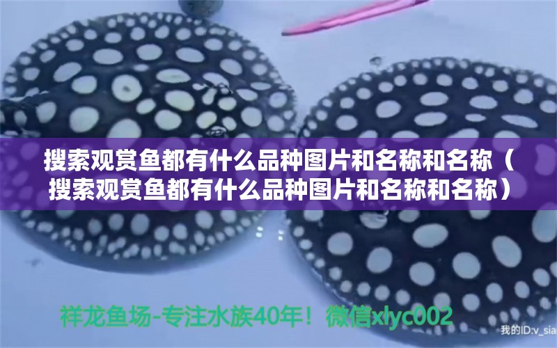 搜索觀賞魚(yú)都有什么品種圖片和名稱和名稱（搜索觀賞魚(yú)都有什么品種圖片和名稱和名稱） 祥龍龍魚(yú)魚(yú)糧