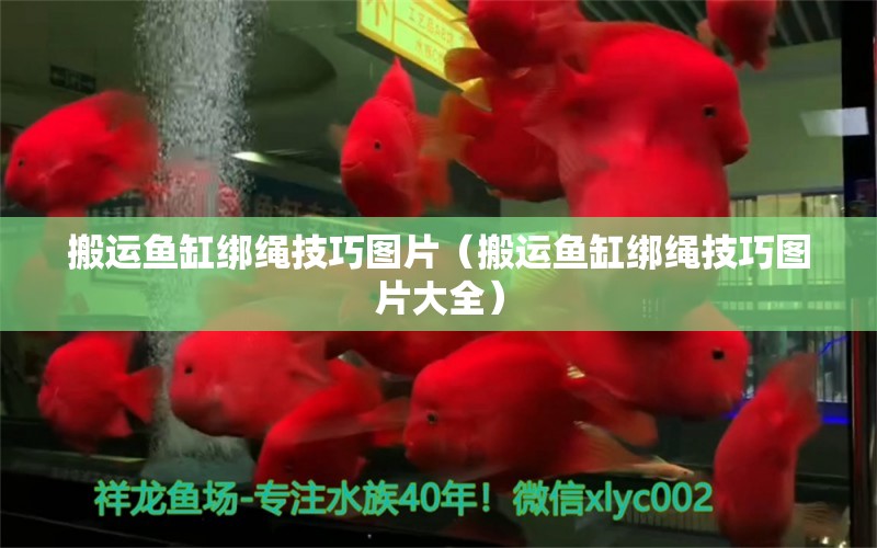 搬運魚缸綁繩技巧圖片（搬運魚缸綁繩技巧圖片大全）