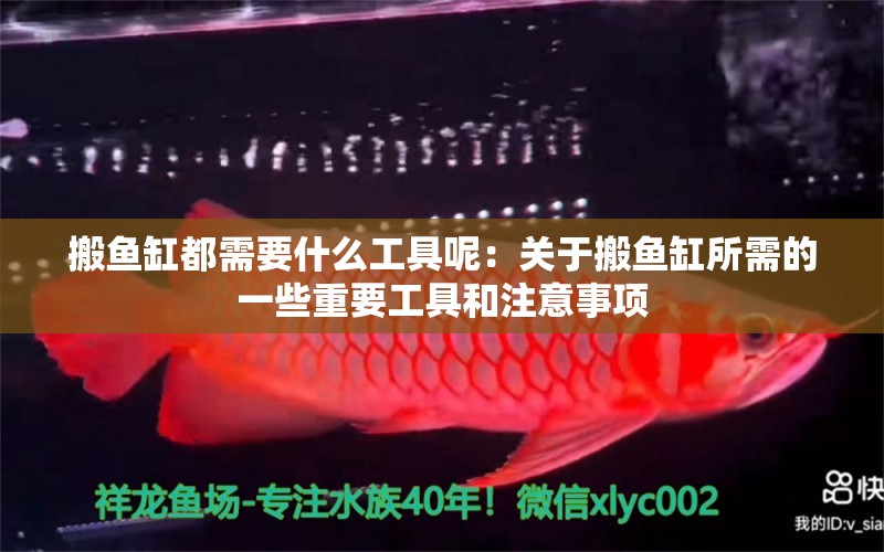 搬魚缸都需要什么工具呢：關(guān)于搬魚缸所需的一些重要工具和注意事項