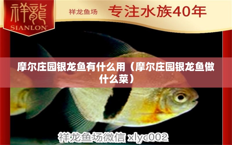 摩爾莊園銀龍魚有什么用（摩爾莊園銀龍魚做什么菜）