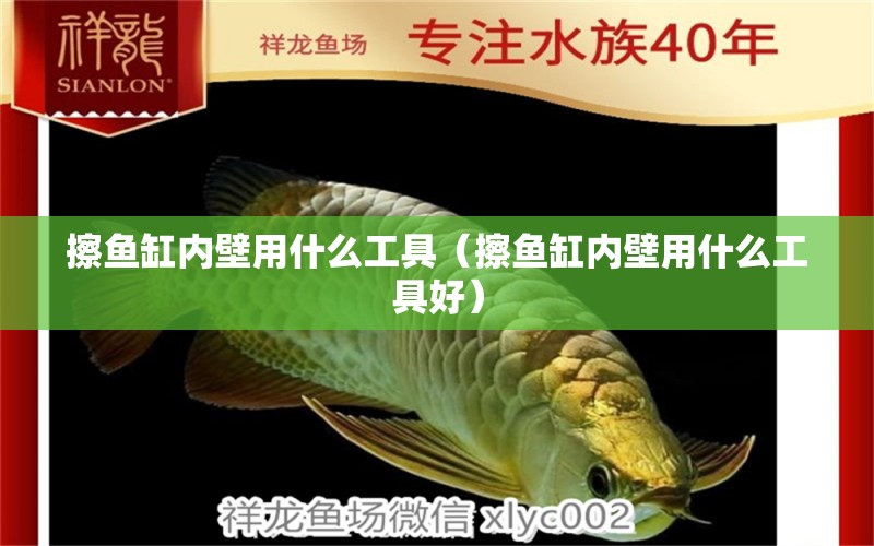 擦魚缸內(nèi)壁用什么工具（擦魚缸內(nèi)壁用什么工具好）