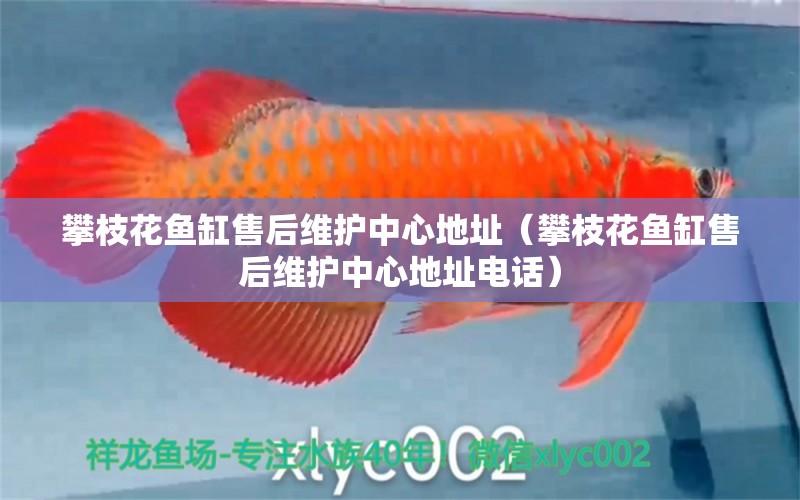 攀枝花魚缸售后維護中心地址（攀枝花魚缸售后維護中心地址電話） 其他品牌魚缸