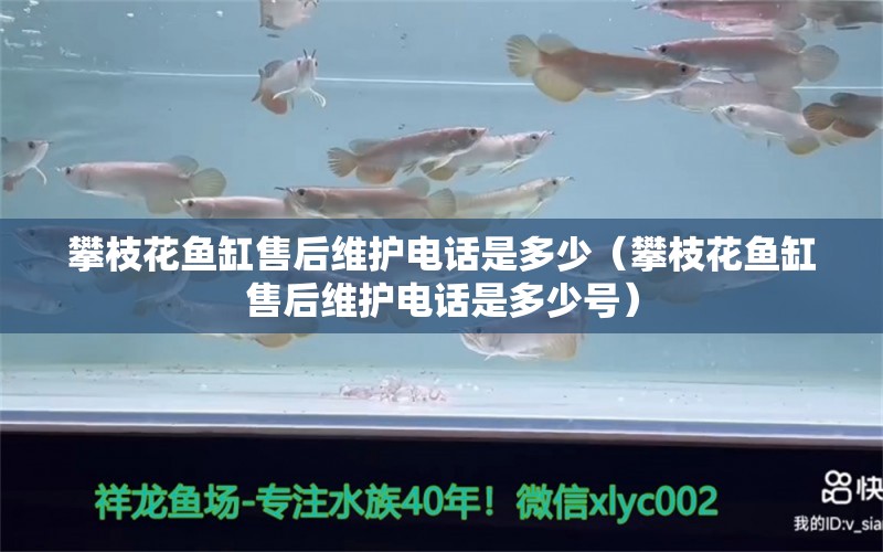 攀枝花魚缸售后維護(hù)電話是多少（攀枝花魚缸售后維護(hù)電話是多少號） 其他品牌魚缸