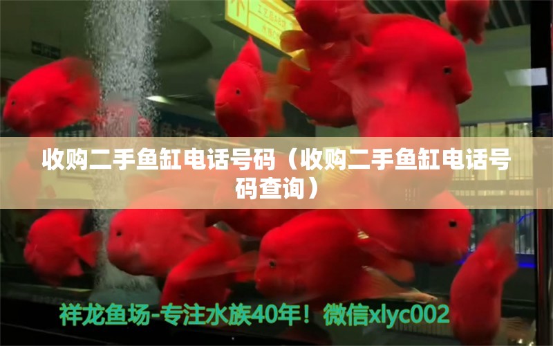 收購二手魚缸電話號碼（收購二手魚缸電話號碼查詢）