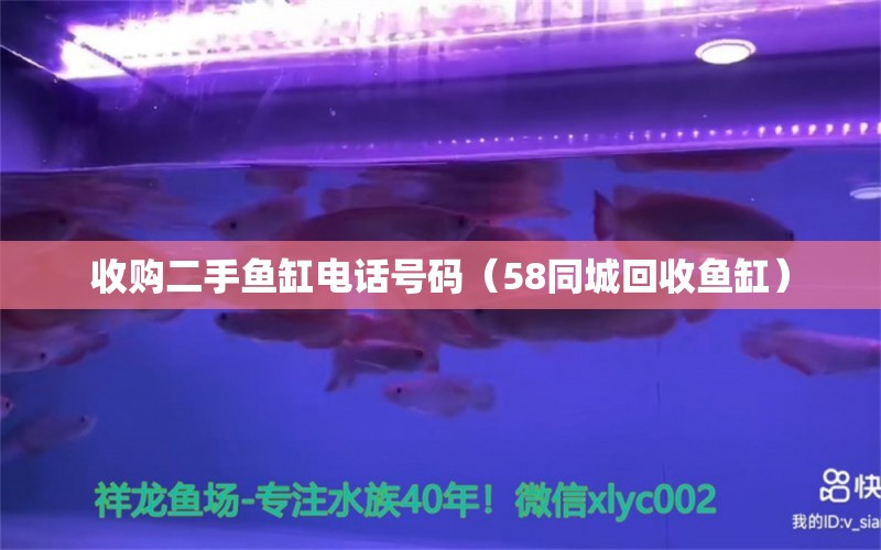 收購二手魚缸電話號碼（58同城回收魚缸） 觀賞魚批發(fā)