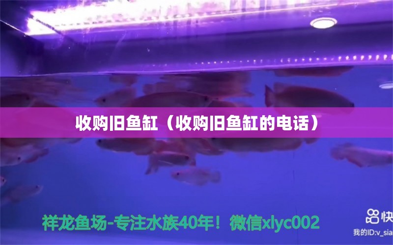 收購舊魚缸（收購舊魚缸的電話）