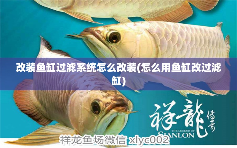 改裝魚缸過(guò)濾系統(tǒng)怎么改裝(怎么用魚缸改過(guò)濾缸) 福虎/異型虎魚/純色虎魚