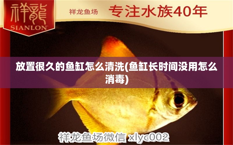 放置很久的魚缸怎么清洗(魚缸長時間沒用怎么消毒)