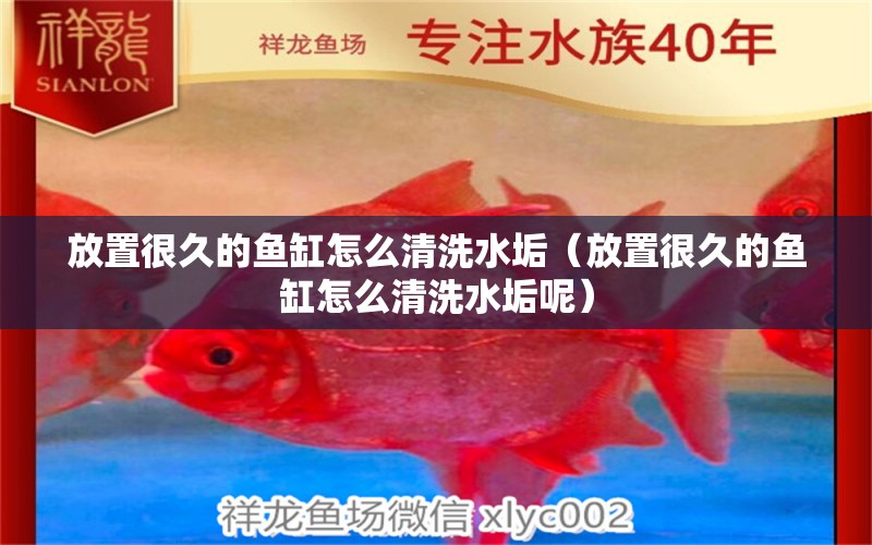 放置很久的魚缸怎么清洗水垢（放置很久的魚缸怎么清洗水垢呢） 黃鰭鯧魚