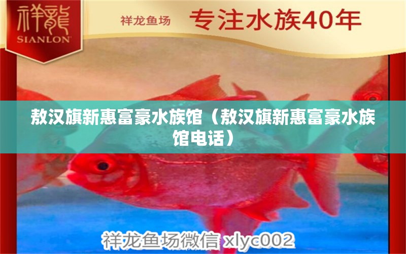 敖漢旗新惠富豪水族館（敖漢旗新惠富豪水族館電話）