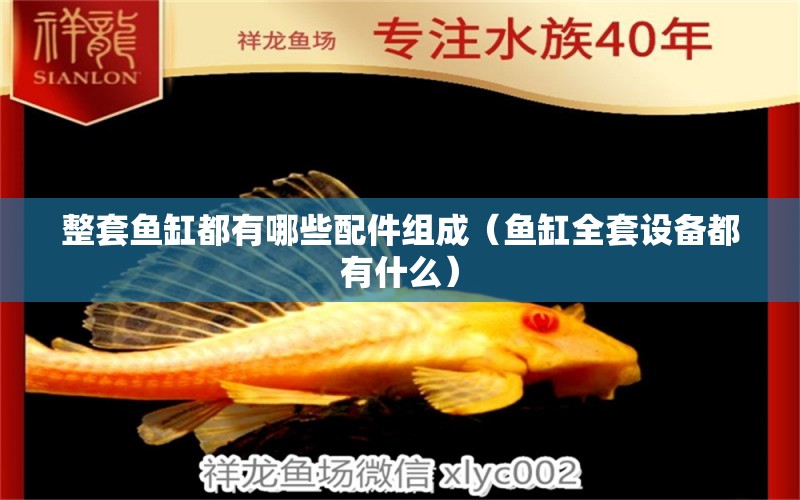 整套魚(yú)缸都有哪些配件組成（魚(yú)缸全套設(shè)備都有什么） 觀賞魚(yú)市場(chǎng)