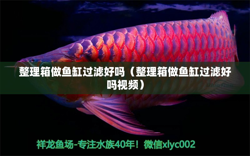 整理箱做魚缸過濾好嗎（整理箱做魚缸過濾好嗎視頻）