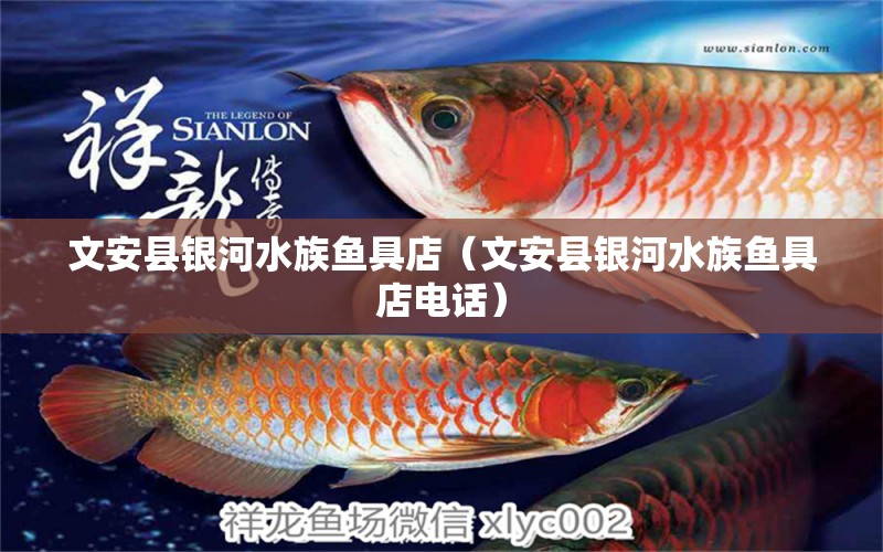 文安縣銀河水族魚(yú)具店（文安縣銀河水族魚(yú)具店電話(huà)）