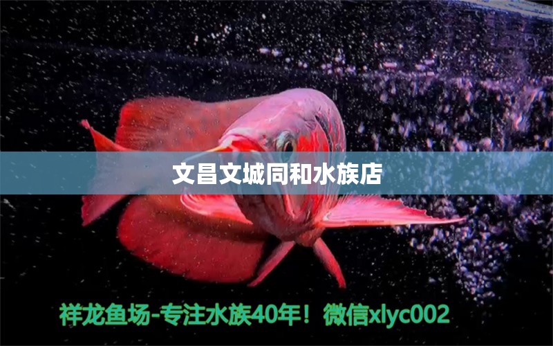 文昌文城同和水族店 全國水族館企業(yè)名錄