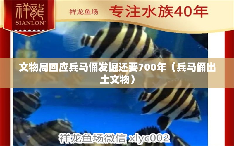 文物局回應兵馬俑發(fā)掘還要700年（兵馬俑出土文物）