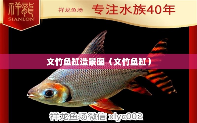 文竹魚(yú)缸造景圖（文竹魚(yú)缸）