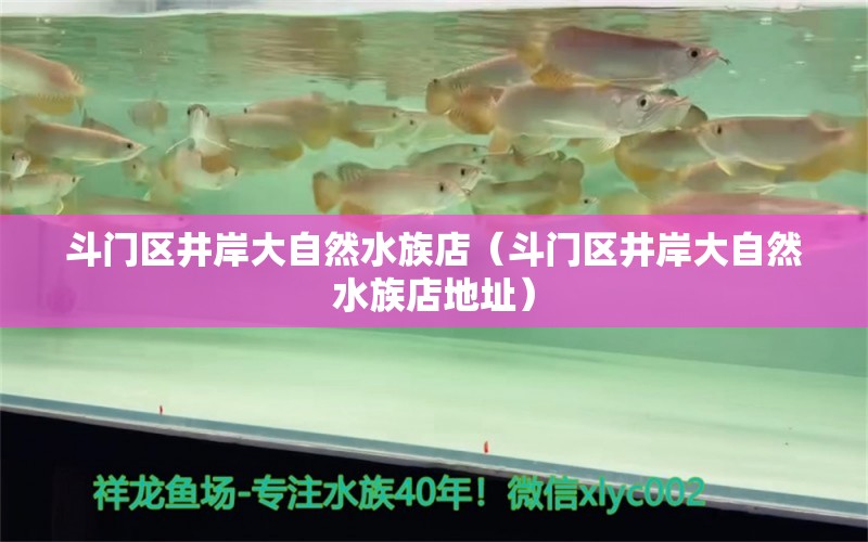 斗門區(qū)井岸大自然水族店（斗門區(qū)井岸大自然水族店地址） 全國水族館企業(yè)名錄