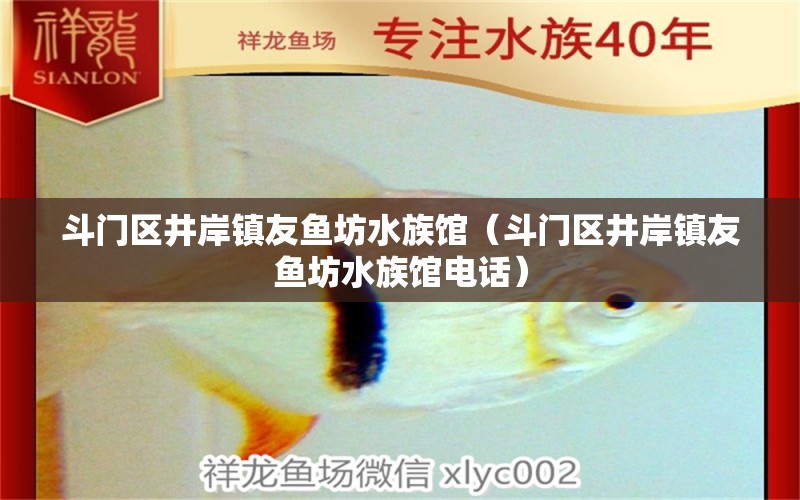 斗門區(qū)井岸鎮(zhèn)友魚坊水族館（斗門區(qū)井岸鎮(zhèn)友魚坊水族館電話） 全國水族館企業(yè)名錄