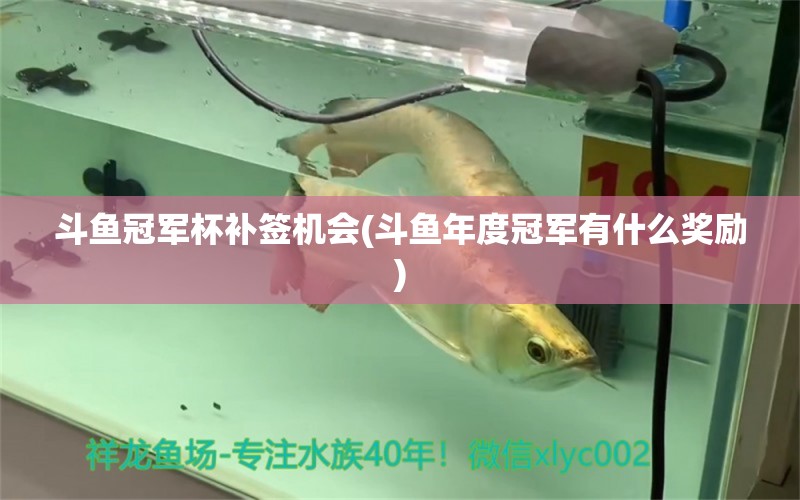 斗魚(yú)冠軍杯補(bǔ)簽機(jī)會(huì)(斗魚(yú)年度冠軍有什么獎(jiǎng)勵(lì)) 2024第28屆中國(guó)國(guó)際寵物水族展覽會(huì)CIPS（長(zhǎng)城寵物展2024 CIPS） 第1張