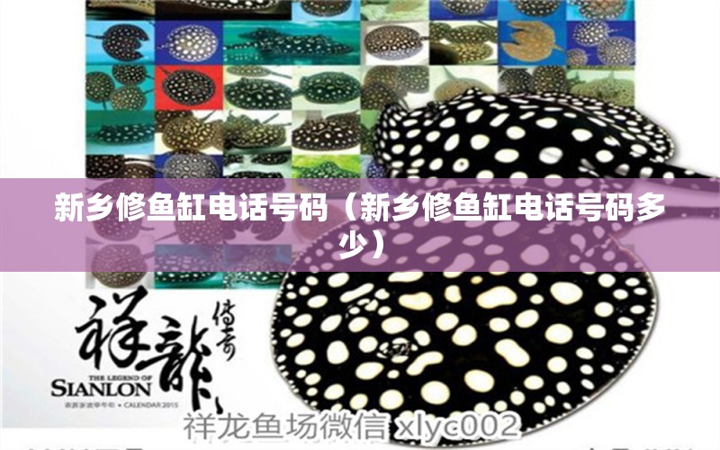 新鄉(xiāng)修魚缸電話號碼（新鄉(xiāng)修魚缸電話號碼多少） 其他品牌魚缸