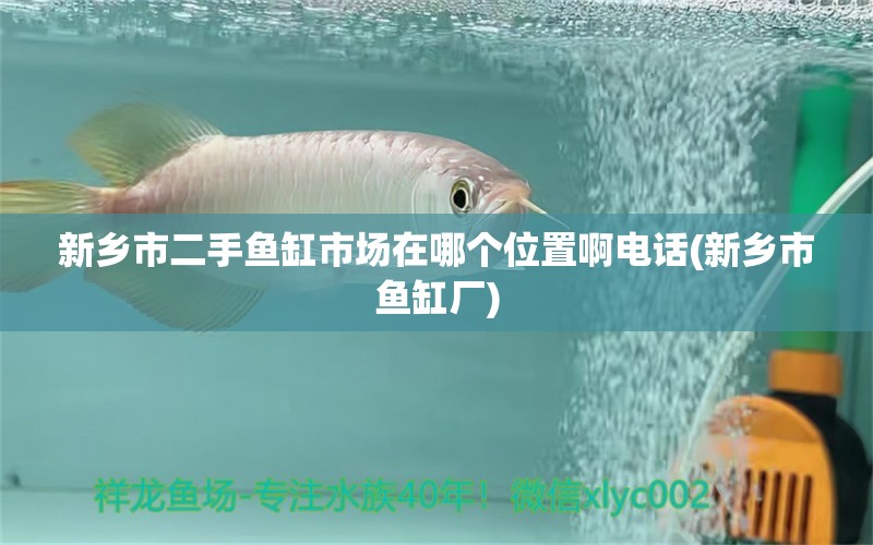 新鄉(xiāng)市二手魚缸市場在哪個(gè)位置啊電話(新鄉(xiāng)市魚缸廠) 二氧化碳設(shè)備 第2張