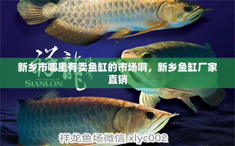 新鄉(xiāng)市哪里有賣魚缸的市場啊，新鄉(xiāng)魚缸廠家直銷