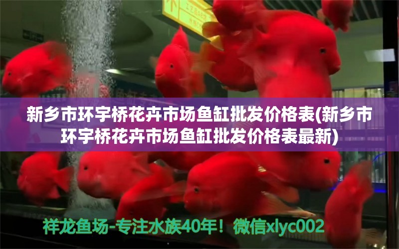 新鄉(xiāng)市環(huán)宇橋花卉市場魚缸批發(fā)價(jià)格表(新鄉(xiāng)市環(huán)宇橋花卉市場魚缸批發(fā)價(jià)格表最新) 福魟魟魚 第1張