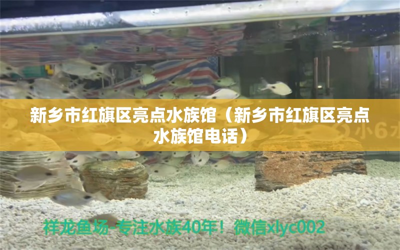 新鄉(xiāng)市紅旗區(qū)亮點(diǎn)水族館（新鄉(xiāng)市紅旗區(qū)亮點(diǎn)水族館電話）